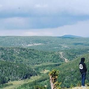 Meet your Posher, Toby